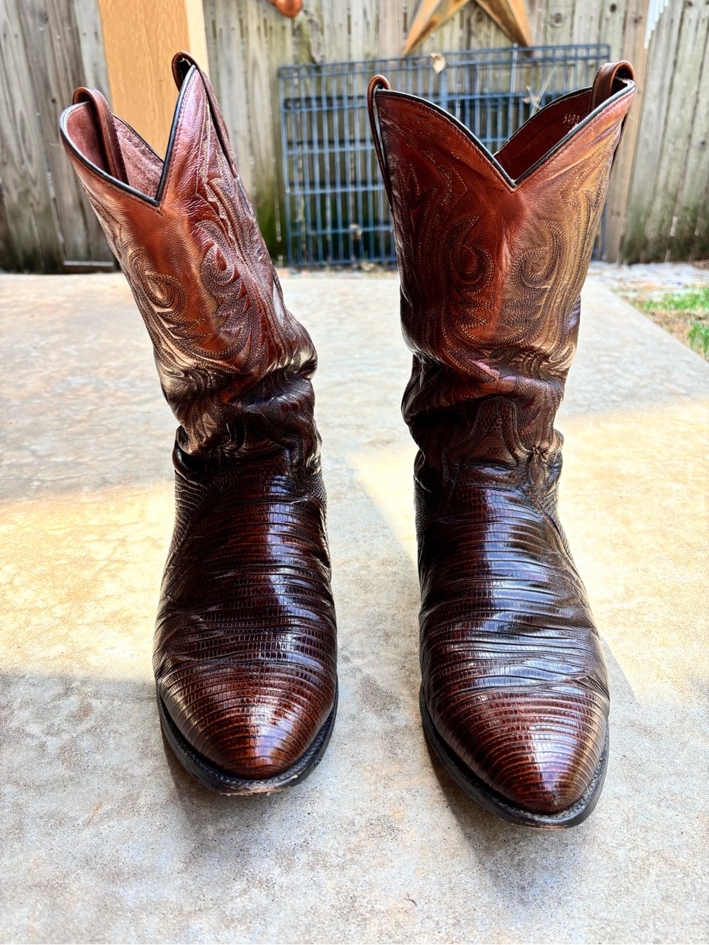 Dan Post Teju Lizard Boots